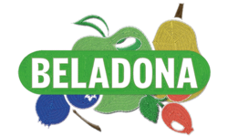 beladona-web-logo-250-x-150